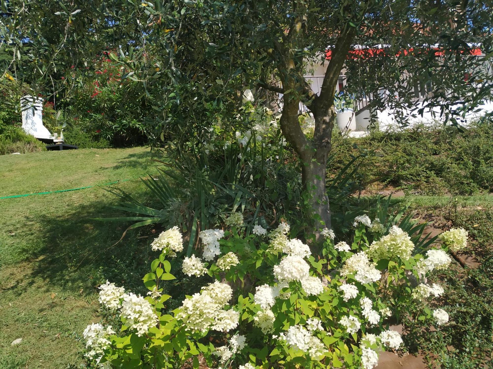 Casa Fellini Villa San Zeno di Montagna Luaran gambar